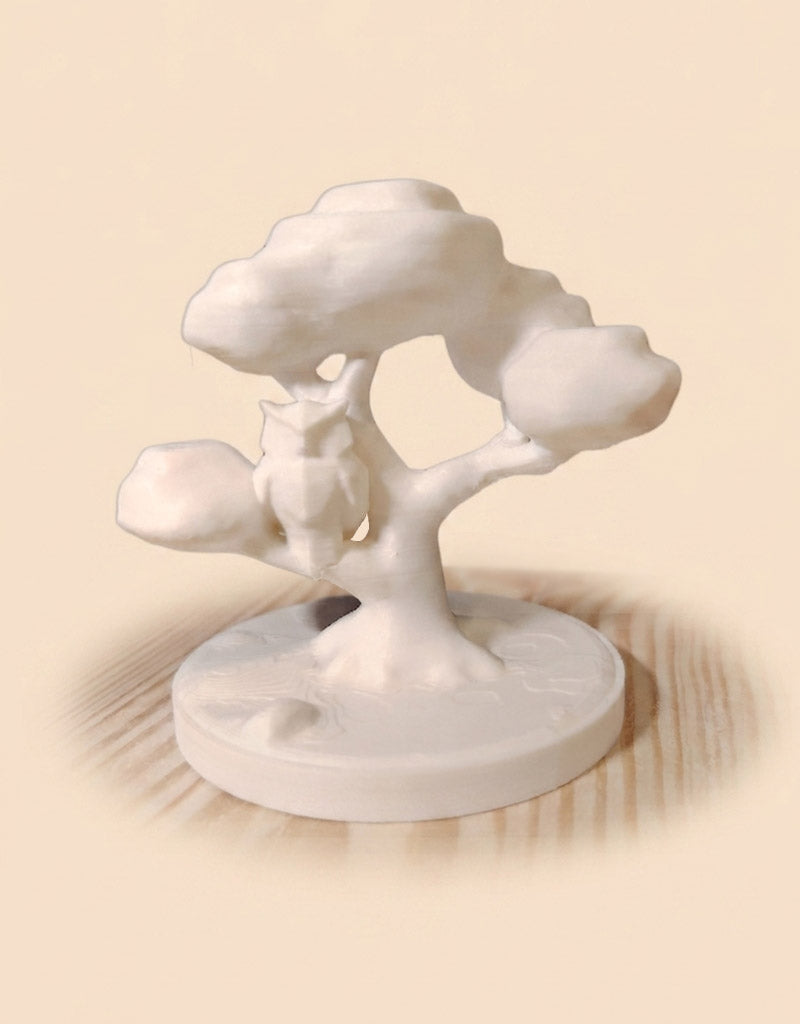 Arbre & Animal — Édition Forêt
